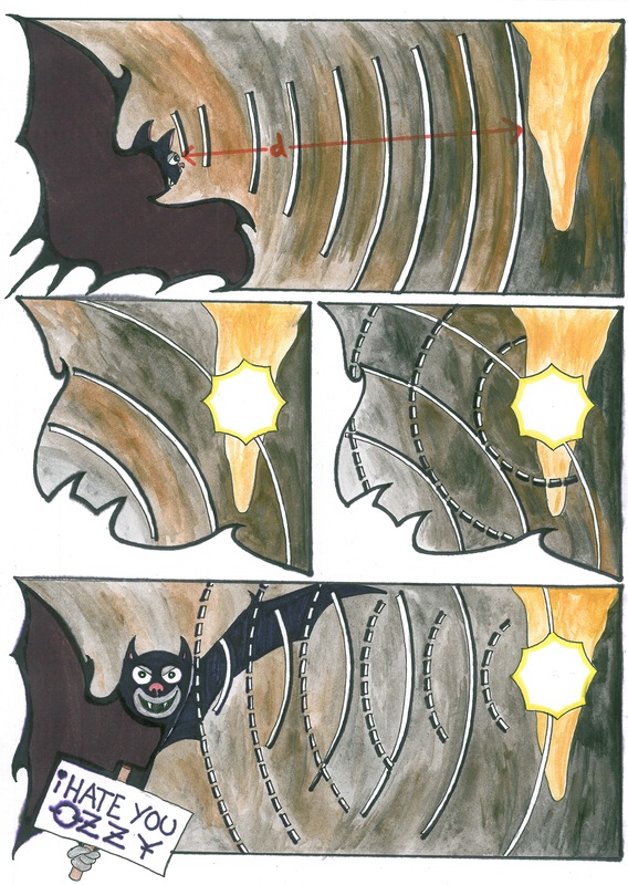 Pipistrellus 