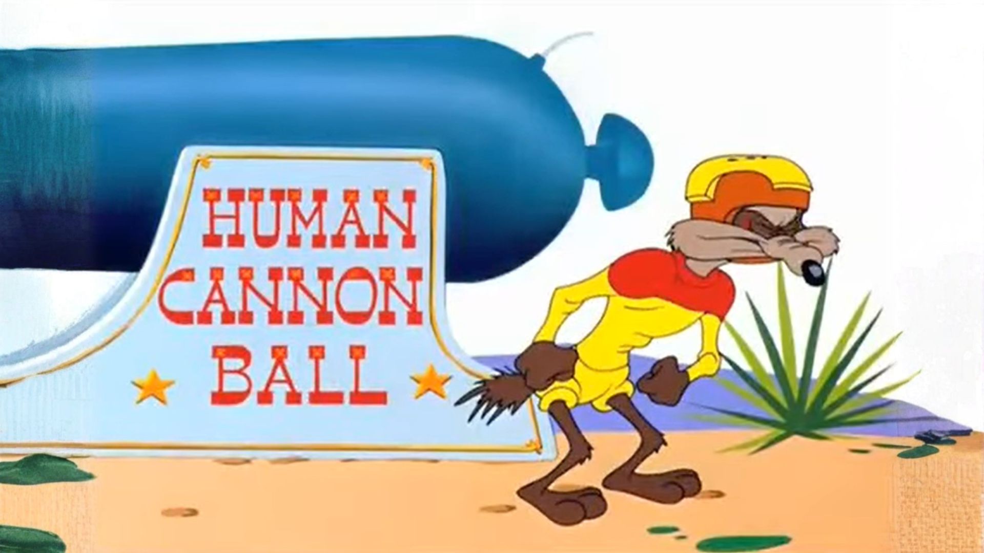 Human Cannonball